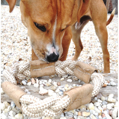 ABO Gear Ring Dog Toy
