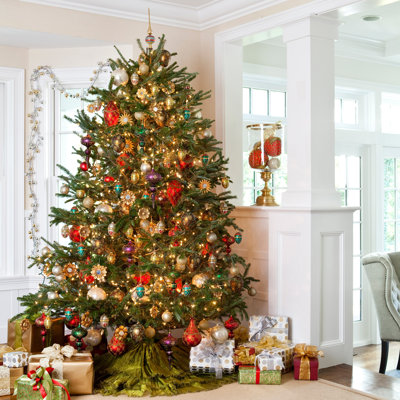 fraser fir direct fresh north carolina 7 5 8 fraser fir fraser fir direct fresh north carolina 7 5 8 fraser fir