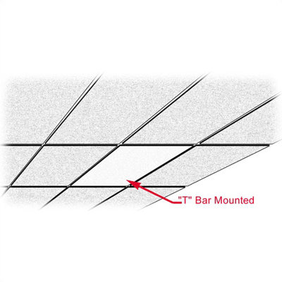 TPI CP Series Radiant 1,707 BTU ( 500w ) Ceiling Panels