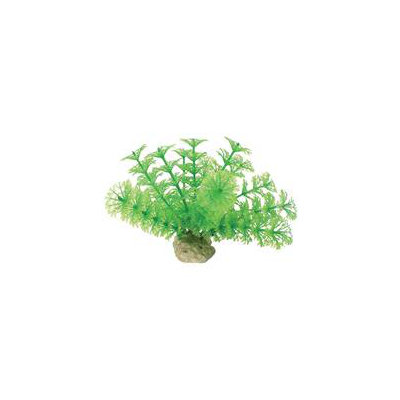 Pure Aquatic Natural Elements Ambulia Aquarium Ornament in Green