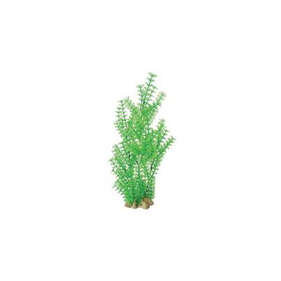 Pure Aquatic Natural Elements Ambulia Aquarium Ornament in Green