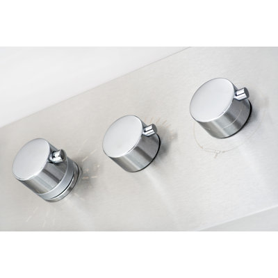 Aston Global Dual Function and Diveter Shower Panel with Six Body Jets