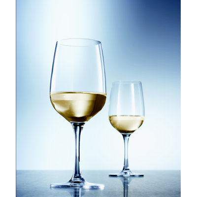 Schott Zwiesel Tritan Congresso Drinkware Collection