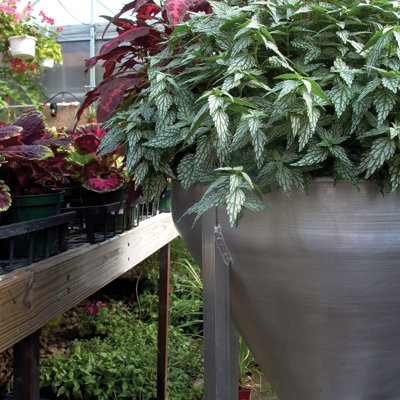 MuNiMulA Planter with Stand