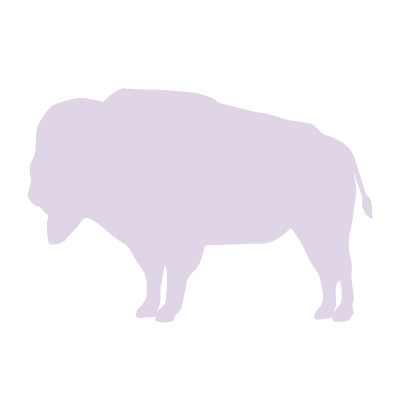 Avalisa Silhouette - Buffalo Stretched Wall Art