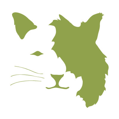 Avalisa Animal Face - Cat Stretched Wall Art