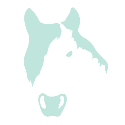 Avalisa Animal Face - Horse Stretched Wall Art