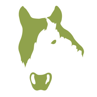 Avalisa Animal Face - Horse Stretched Wall Art