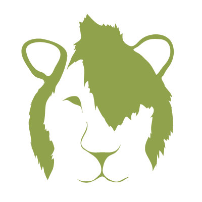 Avalisa Animal Face - Punk Lion Stretched Wall Art