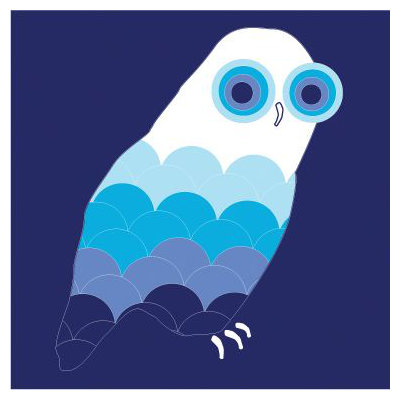 Avalisa Animal - Owl Stretched Wall Art