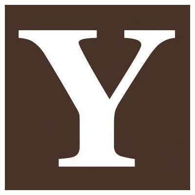 Avalisa Letter - Upper Case 'Y' Stretched Wall Art