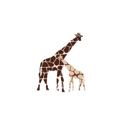 Avalisa Animal - Reticulated Giraffe Stretched Wall Art