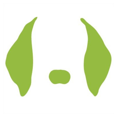 Avalisa Animal Face - Floppy Ears Stretched Wall Art