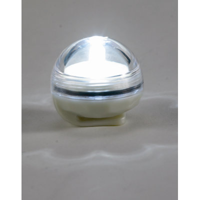 Biedermann and Sons Submersible Led Light (Set of 12)
