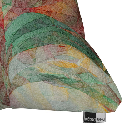 DENY Designs Jacqueline Maldonado Rapt Throw Pillow