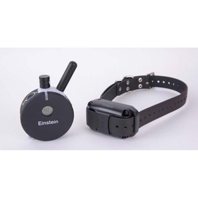 E-Collar Technologies Educator Remote with Night Tracking Light Dog Collar