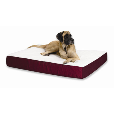 Midwest Homes For Pets Quiet Time e'Sensuals Double Thick Orthopedic Dog Bed