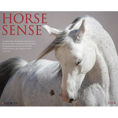 Horse Sense Willow Creek Press