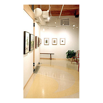 Tech Lighting Cone 1 Light Two-Circuit Monorail Pendant