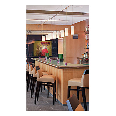Tech Lighting Tetra 1 Light Monorail Pendant
