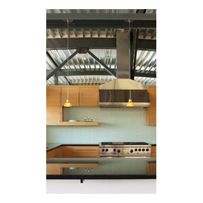 Tech Lighting Firebird Glass Shield
