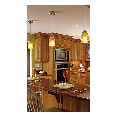 Tech Lighting Firebird 1 Light Two-Circuit Monorail Pendant