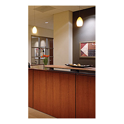 Tech Lighting Firefrost 1 Light Two-Circuit Monorail Pendant