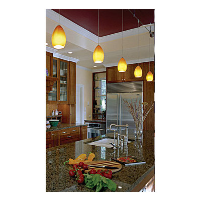 Tech Lighting Firefrost 1 Light Two-Circuit Monorail Pendant