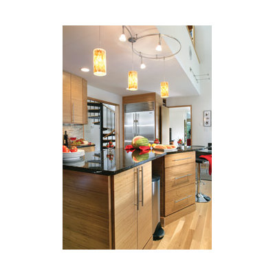Tech Lighting Playa 1 Light Two-Circuit Monorail Pendant