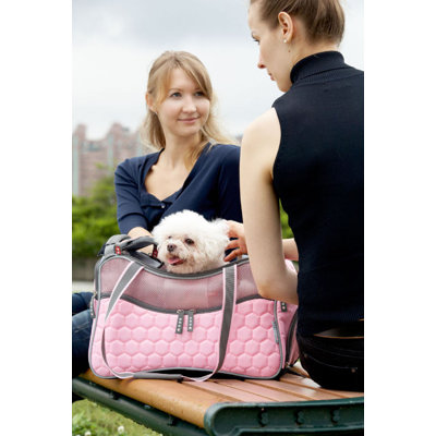 Teafco Argo Petagon Medium Airline Approved Pet Carrier in Tokyo Pink