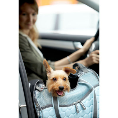Teafco Argo Petagon Medium Airline Approved Pet Carrier in Tokyo Pink