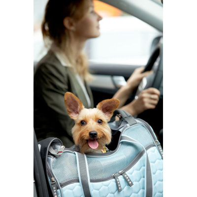 Teafco Argo Petagon Medium Airline Approved Pet Carrier in Maldives Blue