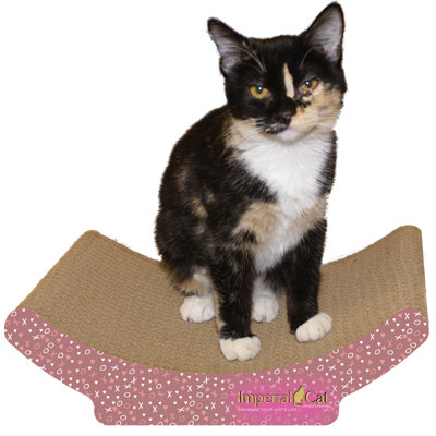 Imperial Cat Cozy Curl Recycled Paper Cat Scratching Board