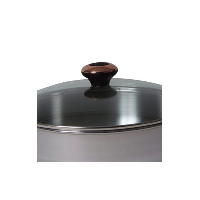 Paula Deen 3 Qt. Saucepot With Steamer Insert in Stainless Steel