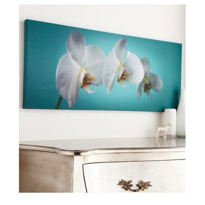 Graham & Brown Teal Orchid Canvas