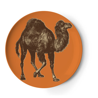 Thomas Paul Bazaar Coaster (Set of 4)