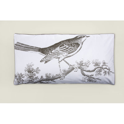 Thomas Paul Ornithology Sham Set