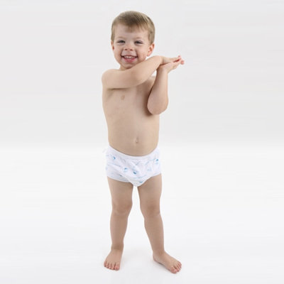 Mom Innovations Potty Training in One Day - The Advanced System for Boys with DVD