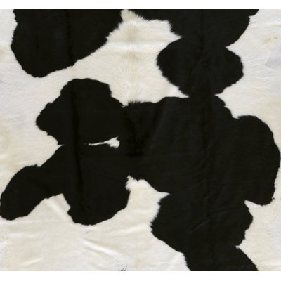 Surya Rug Duke Black/White Rug