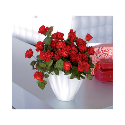 FontanaArte Cartoccio Vase Clear Glass in Grey