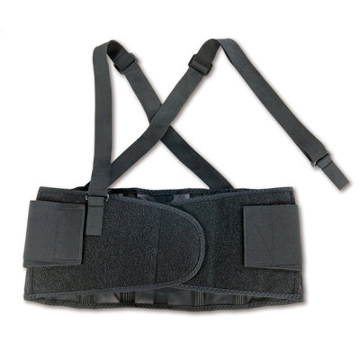 Ergodyne ProFlex 100 Economy Back Support in Black