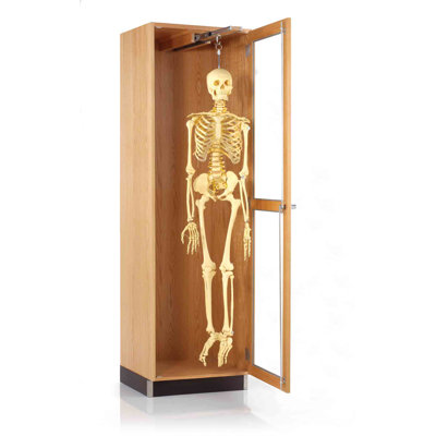 Diversified Woodcrafts Hanging Skeleton Cabinet