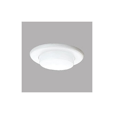 Progress Lighting 6" Drop Opal Shower Light with Reflector Trim