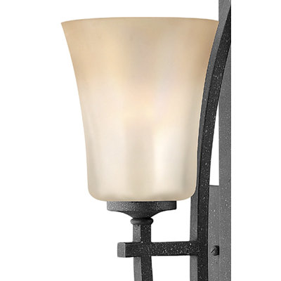 Hinkley Lighting Valley Wall Sconce in Vintage Black