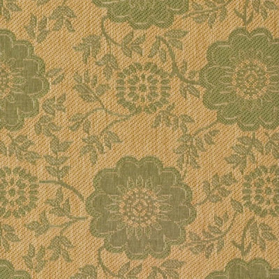 Safavieh Courtyard Natural/Green Rug