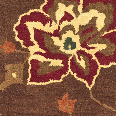 Safavieh Jardin Brown/Multi Rug