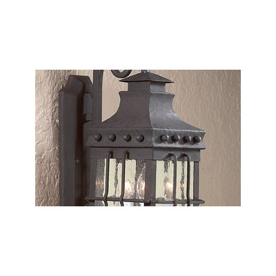 Troy Lighting Dover  Dark Sky Wall Lantern in Natural Bronze