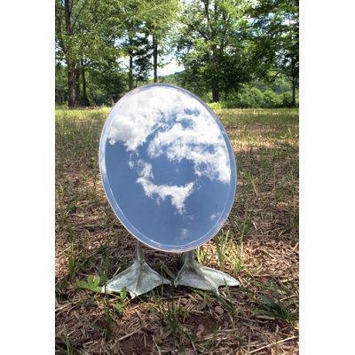 Kikkerland Duck Mirror