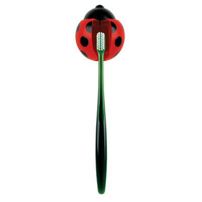 Kikkerland Toothbrush Holder