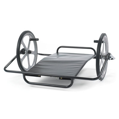 Angeles Converto School-age Whirl-O-Wheel Tricycle